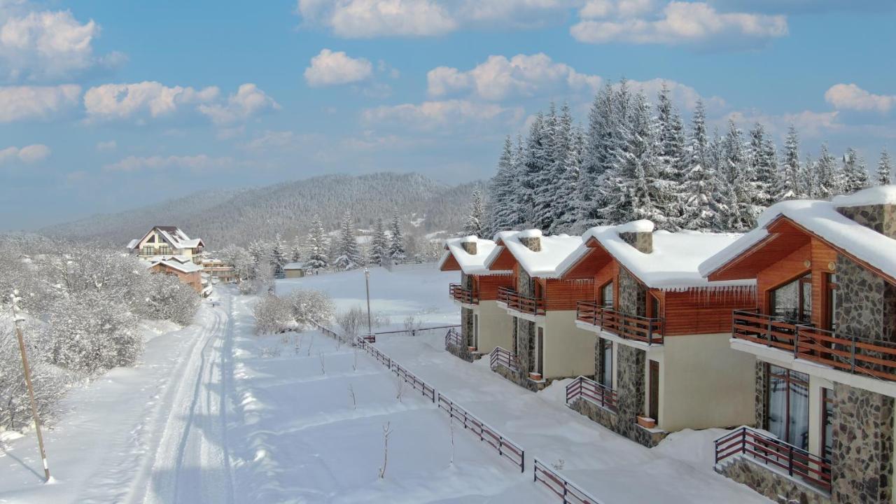 Дом для отпуска Мташи Бакуриани Экстерьер фото